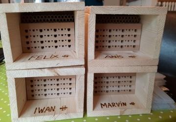Insektenhotels für den Schulgarten